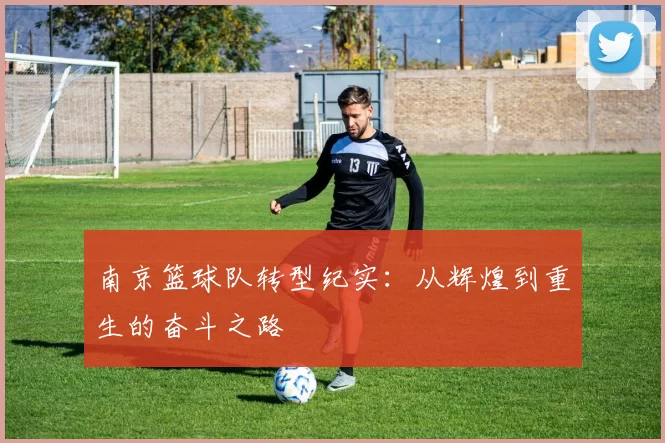 南京篮球队转型纪实：从辉煌到重生的奋斗之路