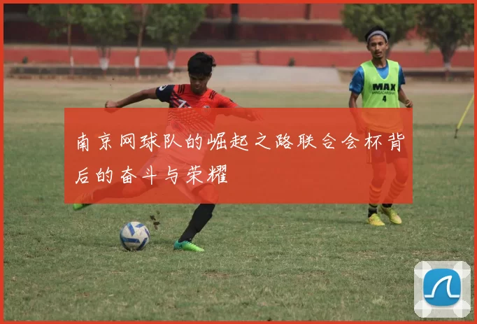 南京网球队的崛起之路联合会杯背后的奋斗与荣耀
