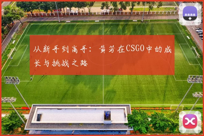 从新手到高手：黄芳在CSGO中的成长与挑战之路