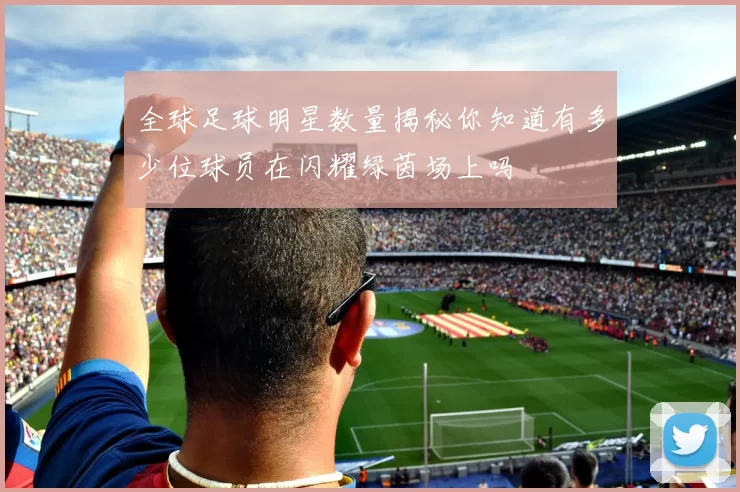 全球足球明星数量揭秘你知道有多少位球员在闪耀绿茵场上吗