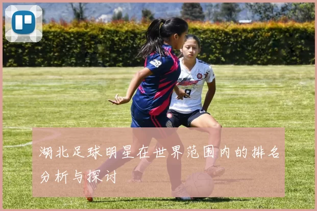湖北足球明星在世界范围内的排名分析与探讨