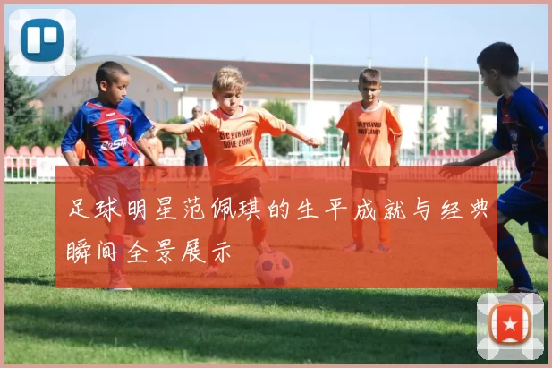 足球明星范佩琪的生平成就与经典瞬间全景展示