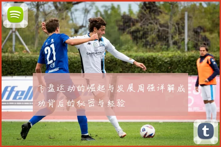 飞盘运动的崛起与发展周强详解成功背后的秘密与经验