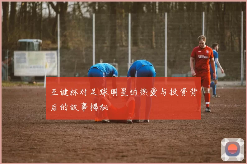 王健林对足球明星的热爱与投资背后的故事揭秘