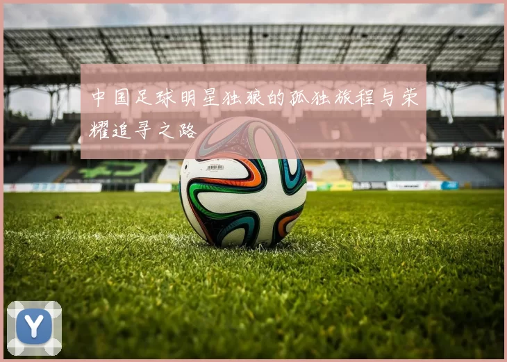 中国足球明星独狼的孤独旅程与荣耀追寻之路