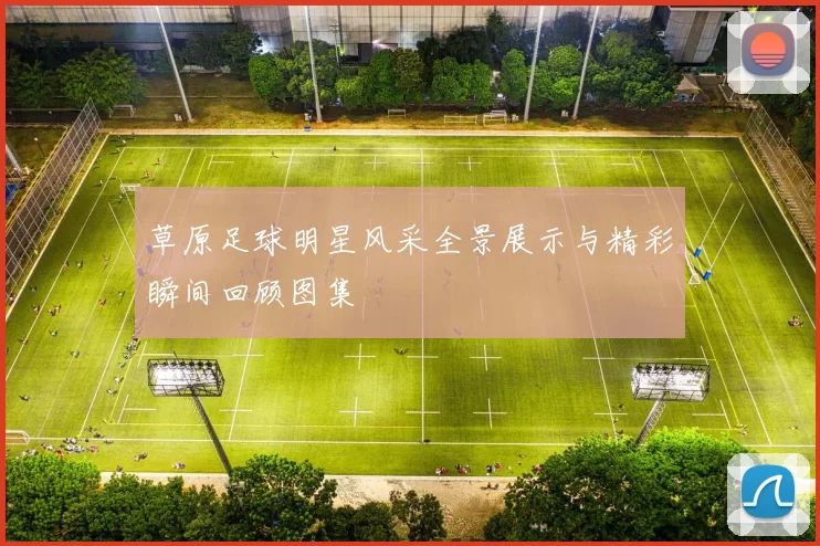 草原足球明星风采全景展示与精彩瞬间回顾图集