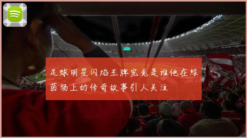足球明星闪焰王牌究竟是谁他在绿茵场上的传奇故事引人关注