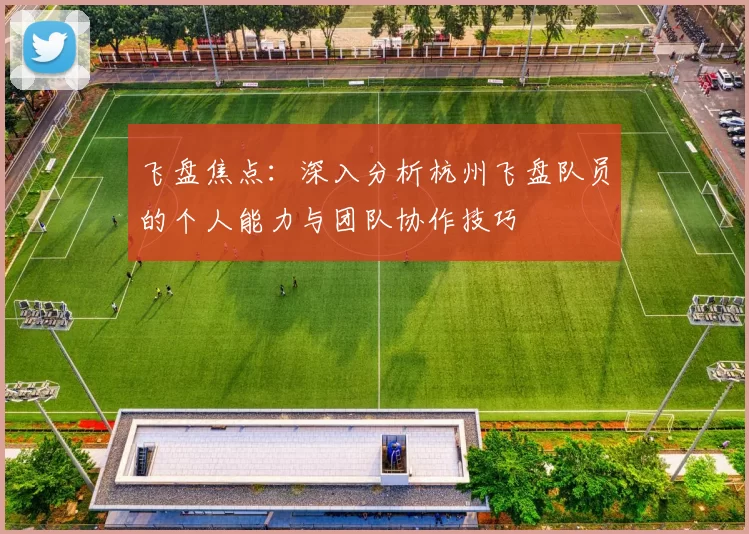 飞盘焦点：深入分析杭州飞盘队员的个人能力与团队协作技巧