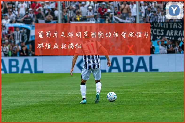 葡萄牙足球明星猎豹的传奇旅程与辉煌成就揭秘