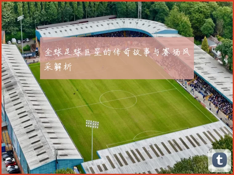 全球足球巨星的传奇故事与赛场风采解析