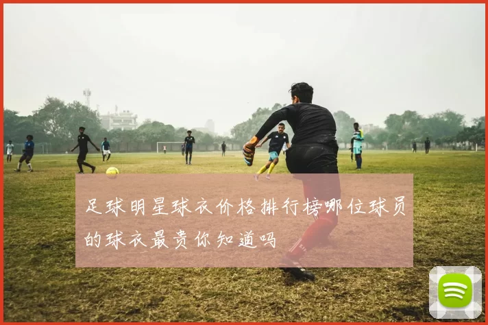 足球明星球衣价格排行榜哪位球员的球衣最贵你知道吗