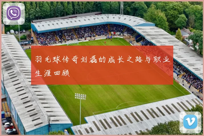 羽毛球传奇刘磊的成长之路与职业生涯回顾