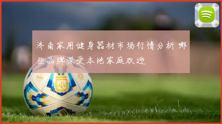 济南家用健身器材市场行情分析 哪些品牌深受本地家庭欢迎