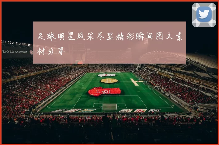 足球明星风采尽显精彩瞬间图文素材分享