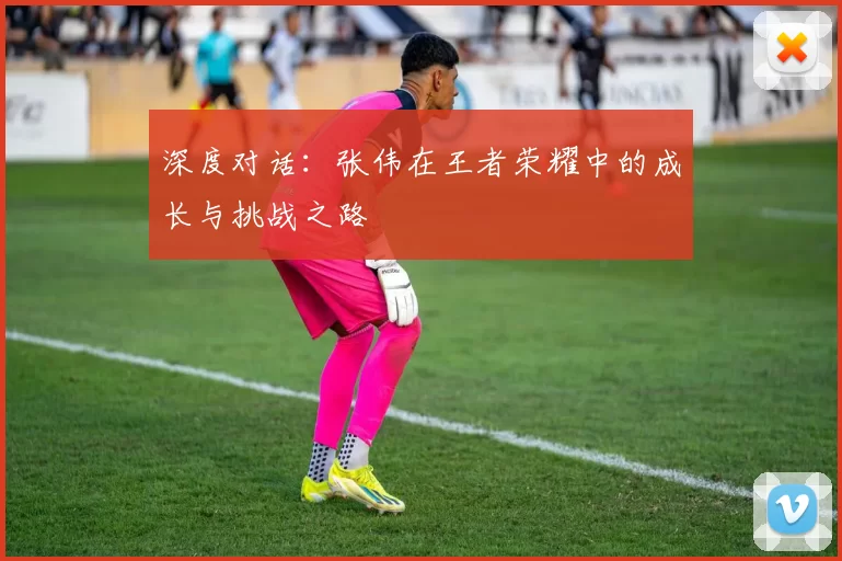 深度对话：张伟在王者荣耀中的成长与挑战之路