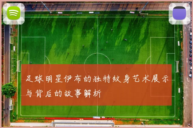 足球明星伊布的独特纹身艺术展示与背后的故事解析