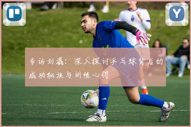专访刘磊：深入探讨乒乓球背后的成功秘诀与训练心得