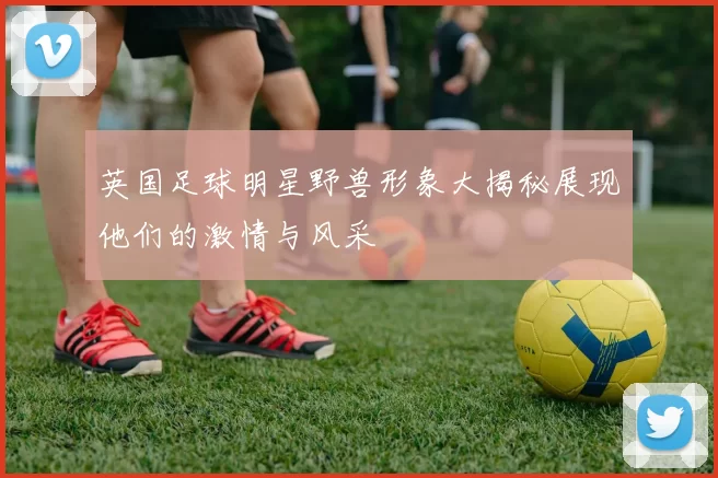 英国足球明星野兽形象大揭秘展现他们的激情与风采