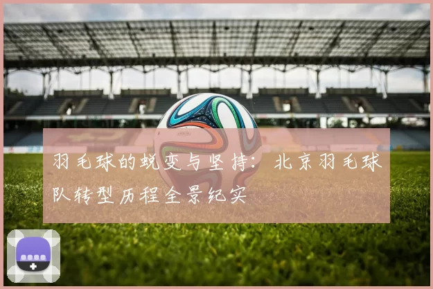 羽毛球的蜕变与坚持：北京羽毛球队转型历程全景纪实