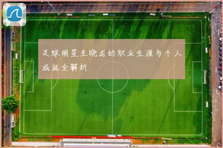 足球明星王晓龙的职业生涯与个人成就全解析