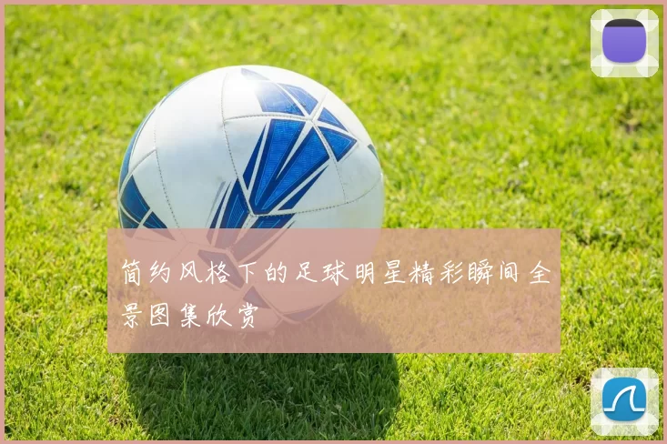 简约风格下的足球明星精彩瞬间全景图集欣赏