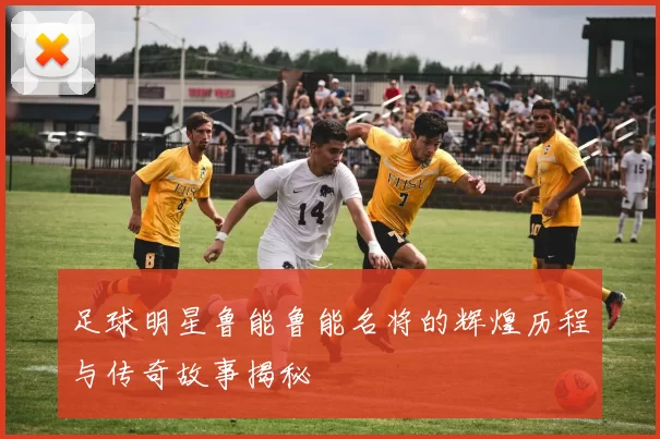 足球明星鲁能鲁能名将的辉煌历程与传奇故事揭秘