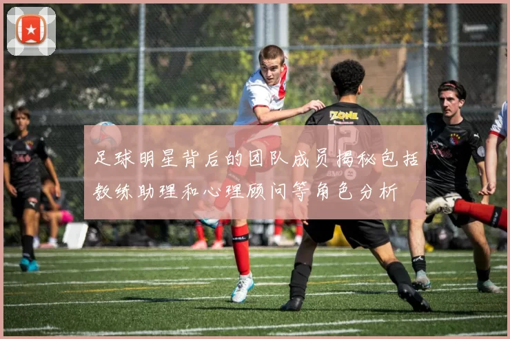 足球明星背后的团队成员揭秘包括教练助理和心理顾问等角色分析