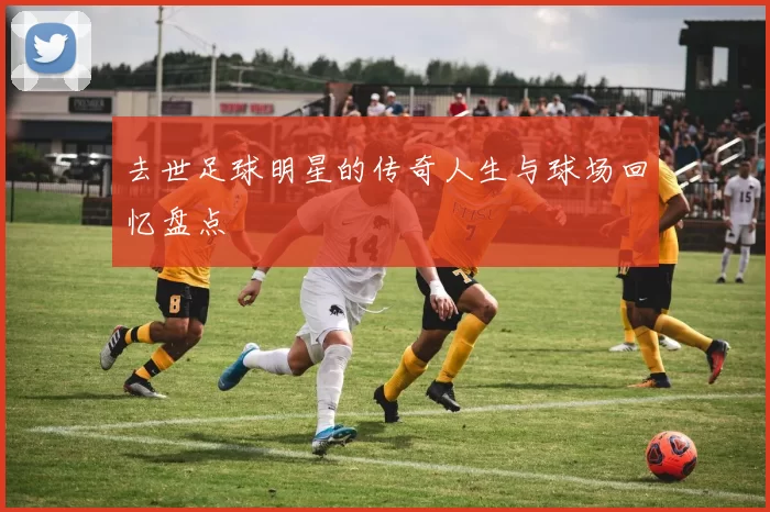 去世足球明星的传奇人生与球场回忆盘点